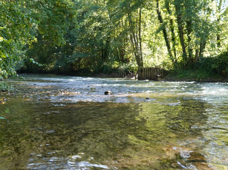 Randonnée à Thiverny dans l'Oise