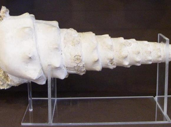 Musée Raymond Pillon 2