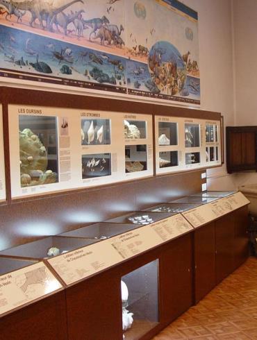 Musée raymond pillon