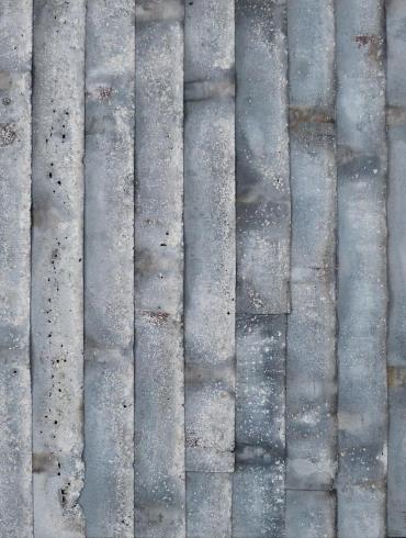 Ecorces-71-x-61-cm-Pascal-CATRY-2019-_sm