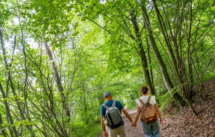 Élincourt-Sainte-Marguerite Base Nature_Oise Tourisme 013 © 2024_ Gilles Piel