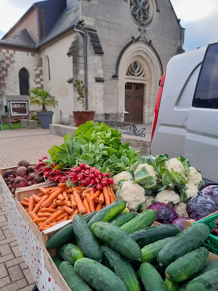 FB_IMG_1736972864663