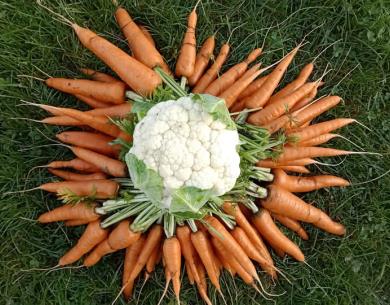 FB_IMG_1736972904875