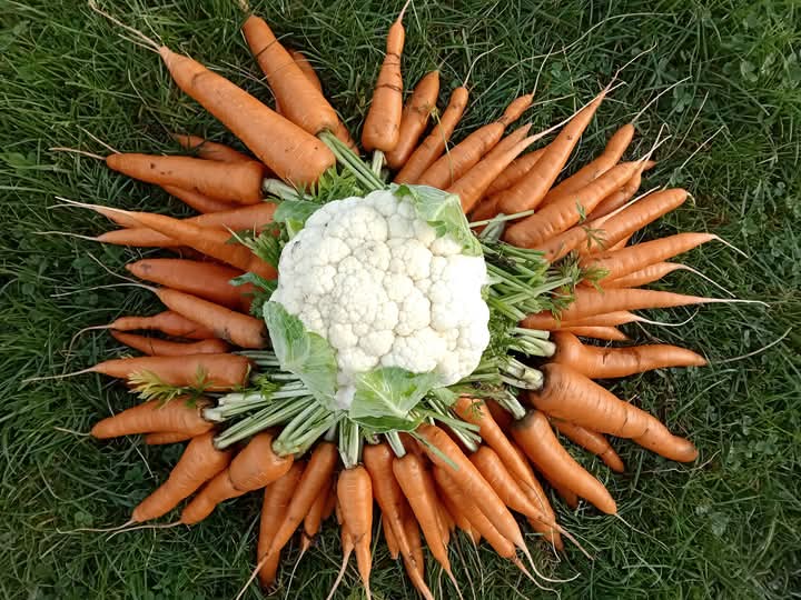 FB_IMG_1736972904875