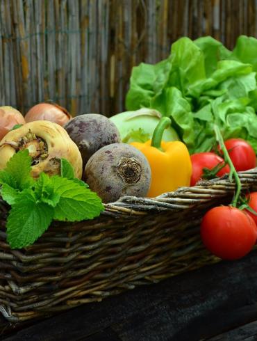 Ferme de fruits et légumes_© Congerdesign de Pixabay