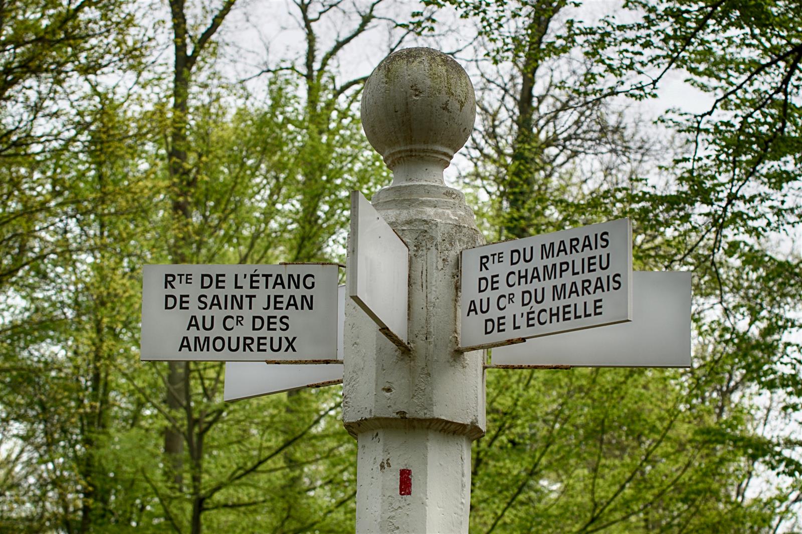 Forêt de Compiègne