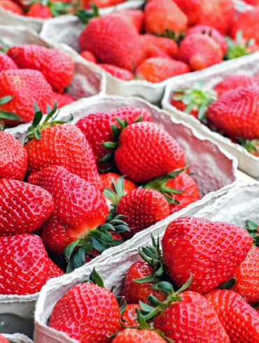 Fraises de Pontpoint