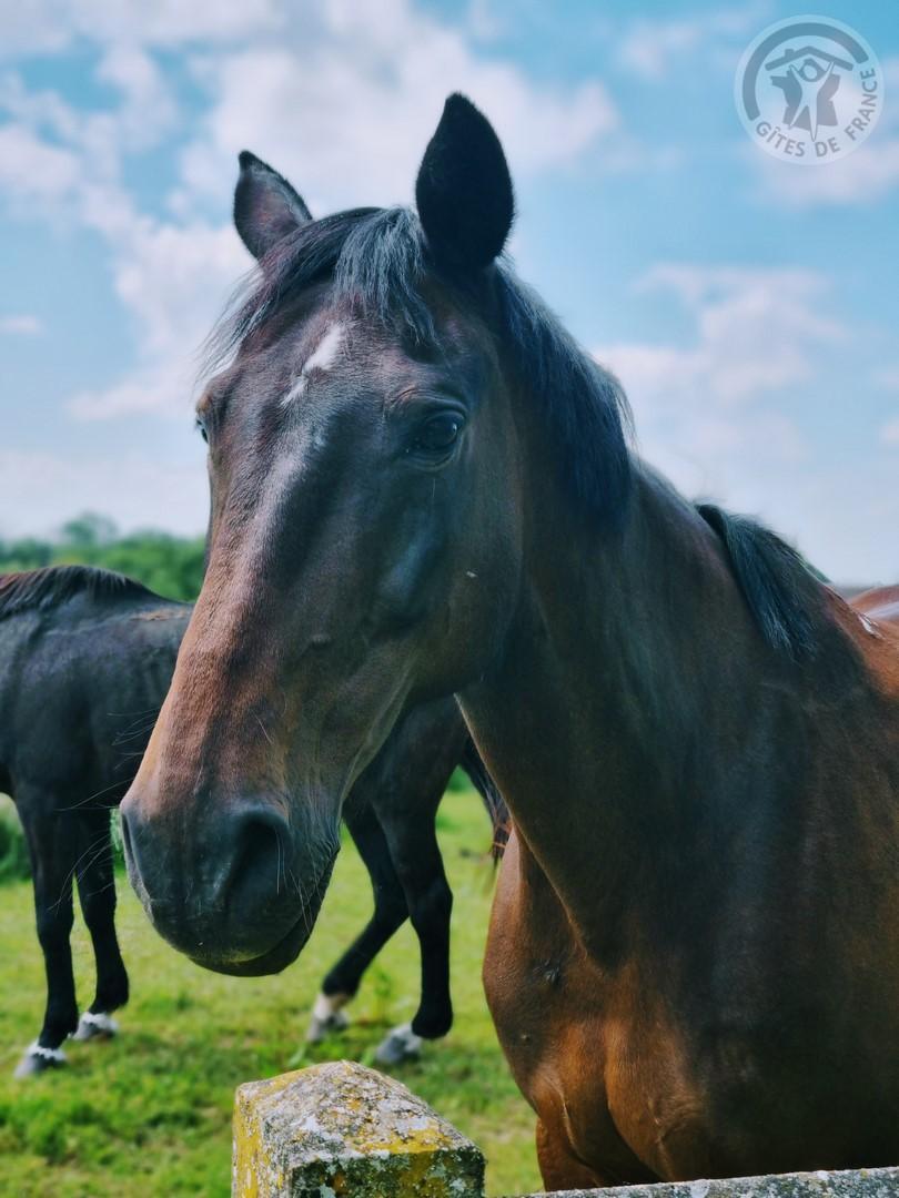 LARGNY SUR AUTOMNE Le Manoir de la Cour