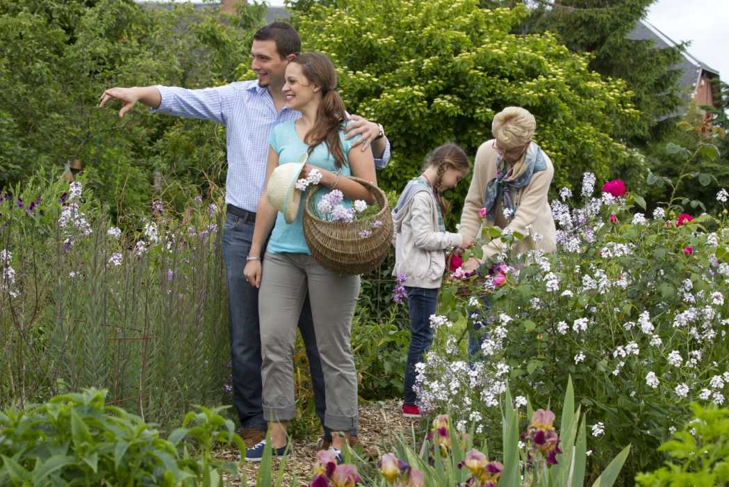 SERANS Les fleurs en liberté