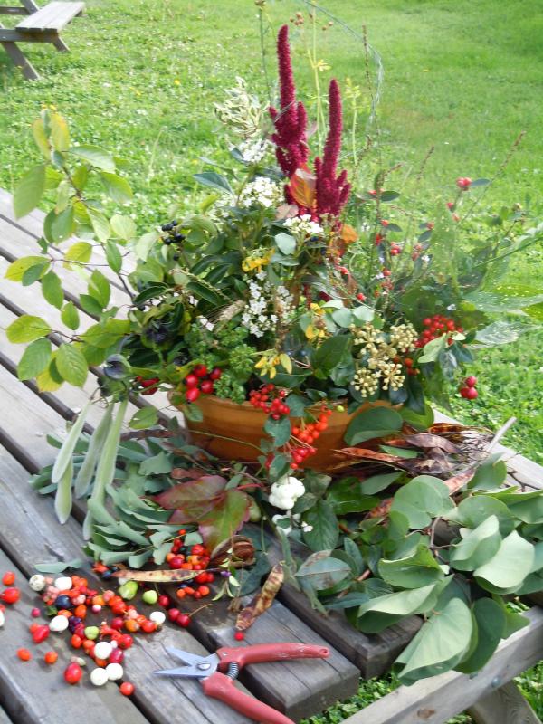 SERANS Les fleurs en liberté