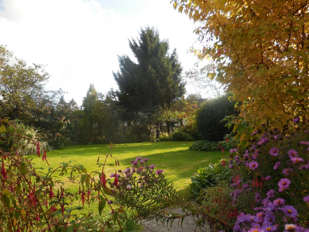 SERANS Les fleurs en liberté