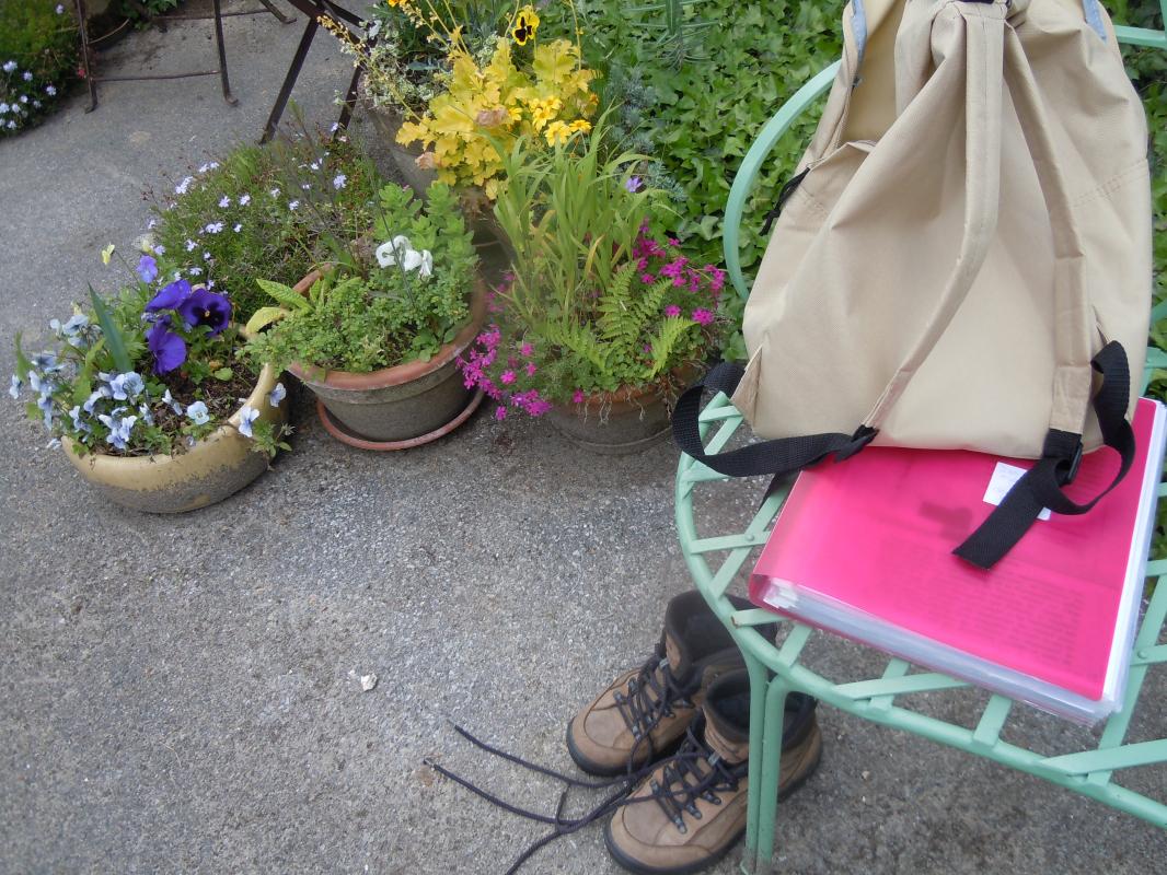 SERANS Les fleurs en liberté