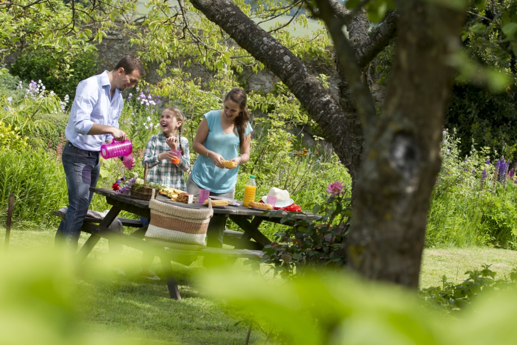 SERANS Les fleurs en liberté