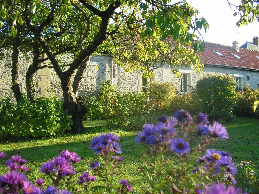 SERANS Les fleurs en liberté