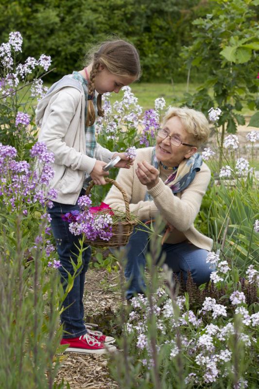SERANS Les fleurs en liberté