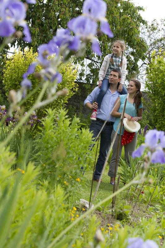 SERANS Les fleurs en liberté