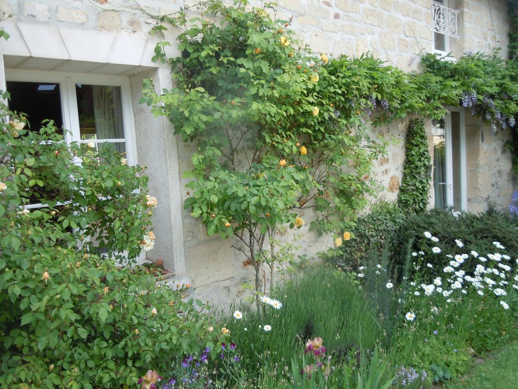 SERANS Les fleurs en liberté