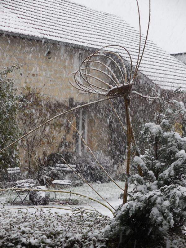SERANS Les fleurs en liberté