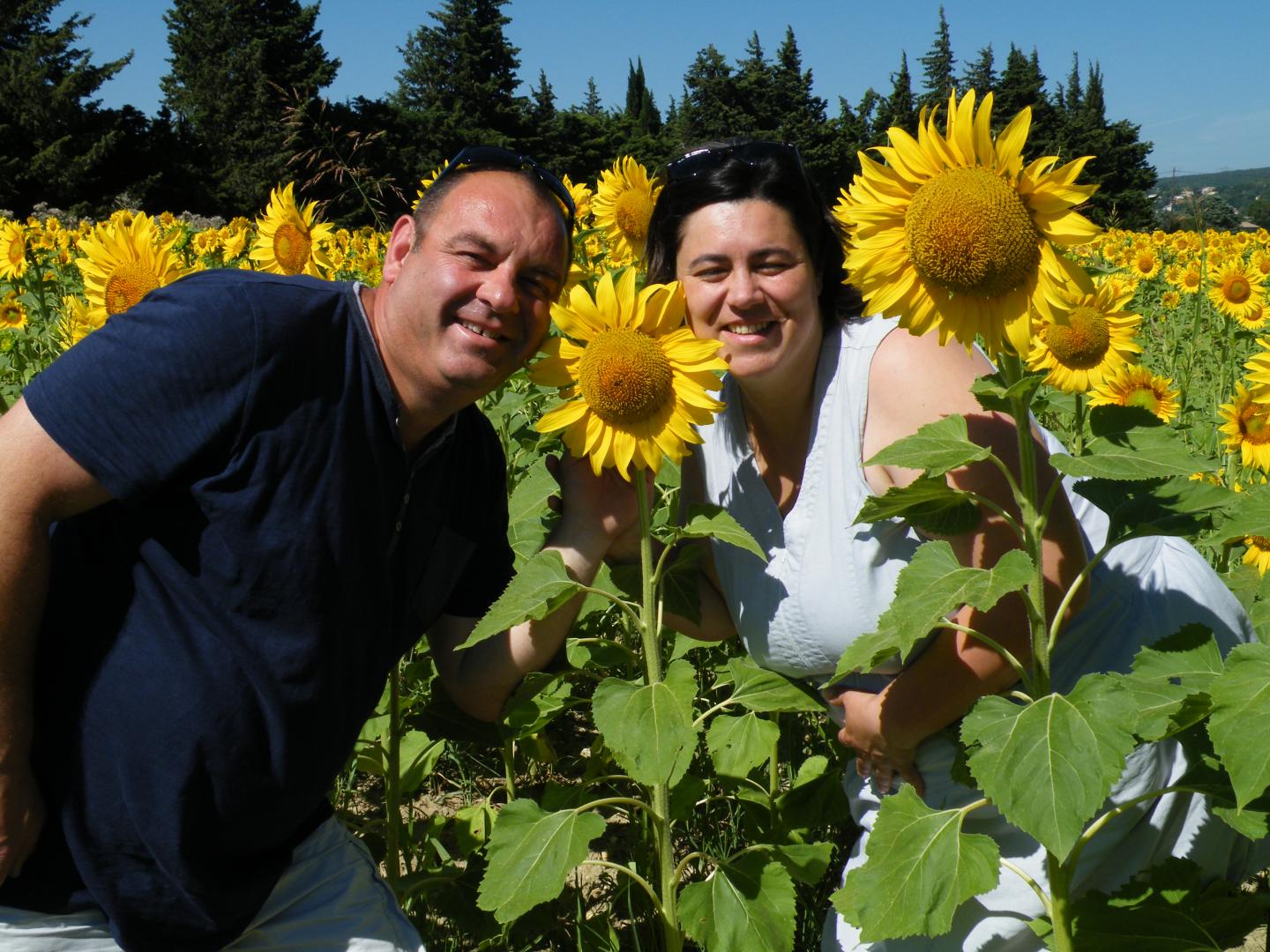 ARRANCY Les volets bleus