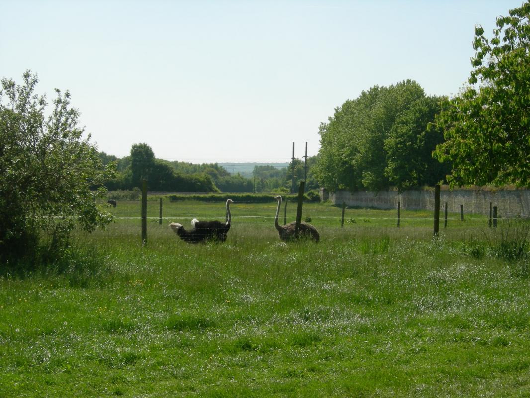 BORAN-SUR-OISE La Ferme du Couvent