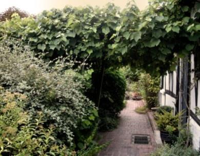 FAY-LES-ETANGS Le clos