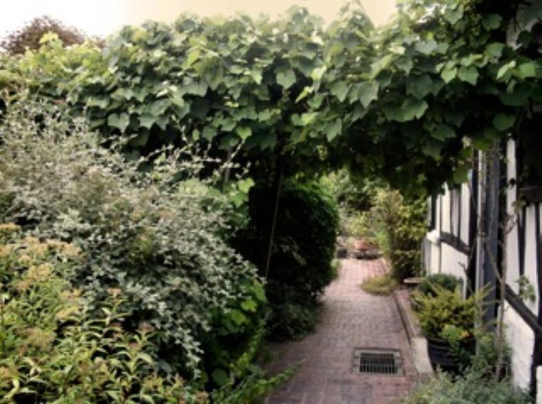 FAY-LES-ETANGS Le clos