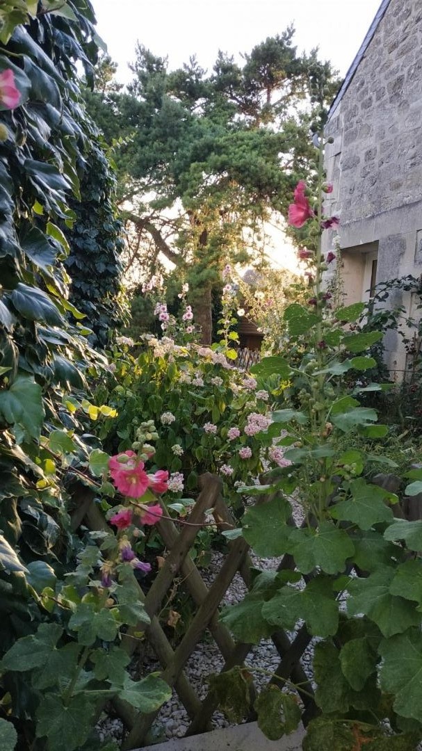 MISSY-SUR-AISNE Le potager de Radegonde
