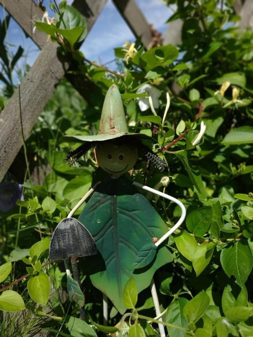 MISSY-SUR-AISNE Le potager de Radegonde