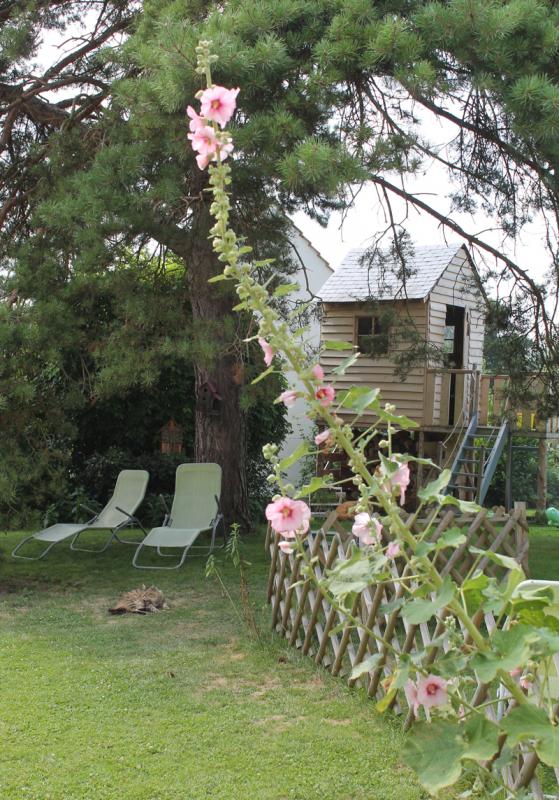 MISSY-SUR-AISNE Le potager de Radegonde