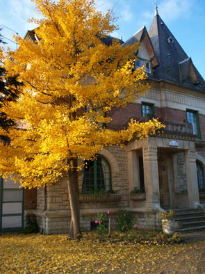 SAINT-FELIX Villa les iris