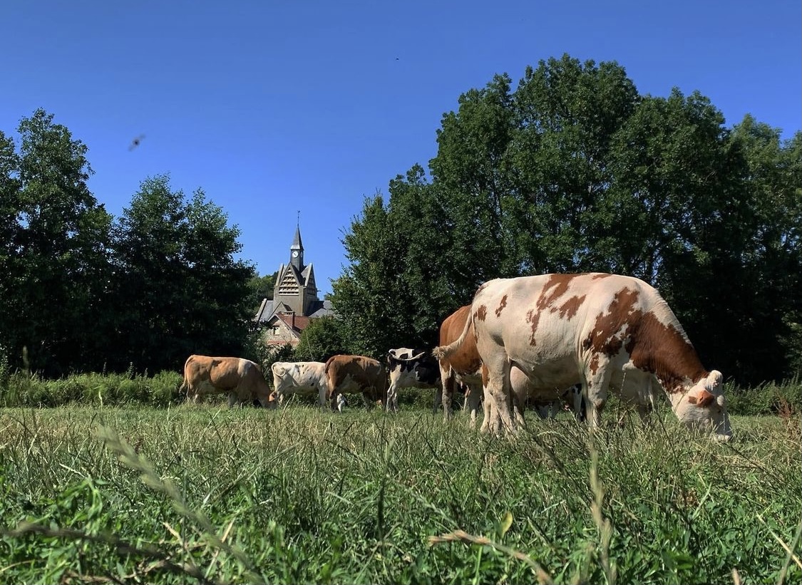NANTEUIL-LA-FOSSE Gîte du moulin à vent