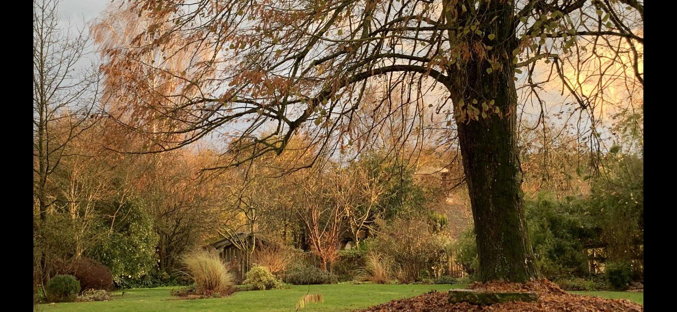 THIBIVILLERS Le Logis du Cliquet