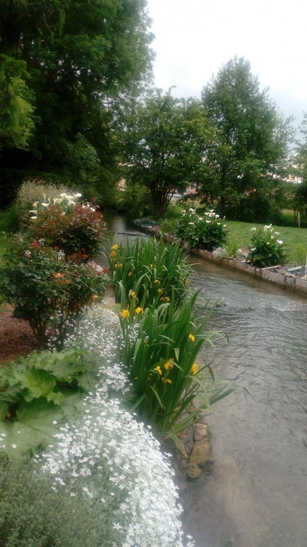 MILLY SUR THERAIN Les berges fleuries de Jojo