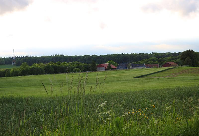 CANNECTANCOURT Le gîte de la Carmoye