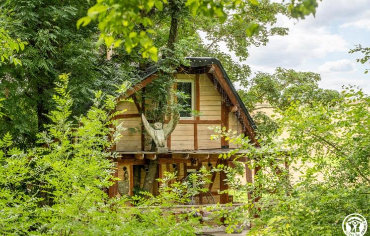 TILLE La cabane magique d'Harry