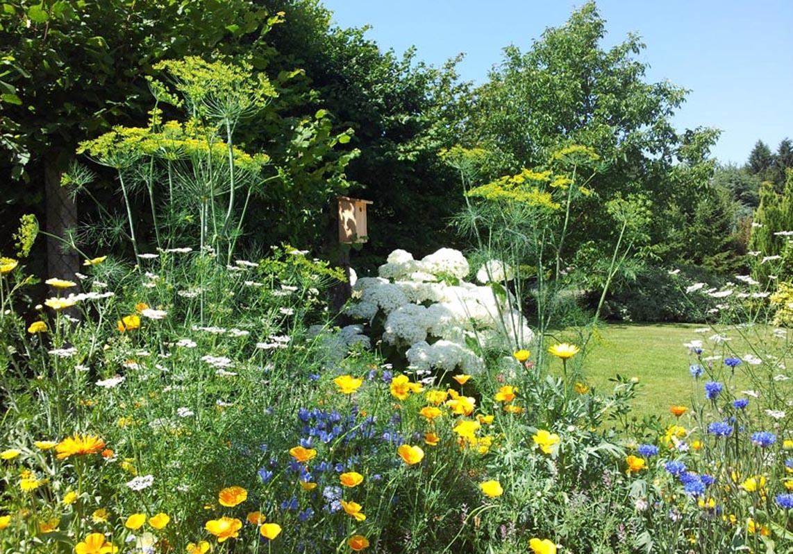 FILAIN La Bergeronnette