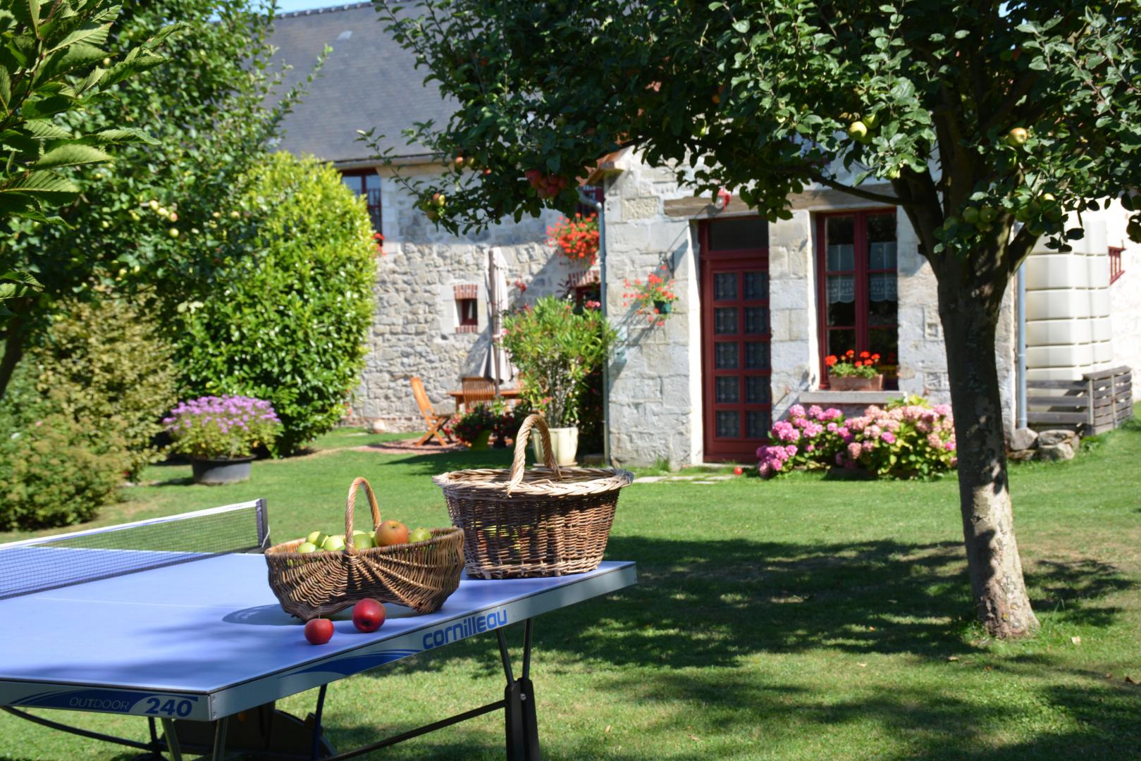 FILAIN La Bergeronnette