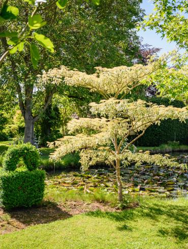 HERCHIES_Jardin-Du-Brule_2026©VincentColin (27)