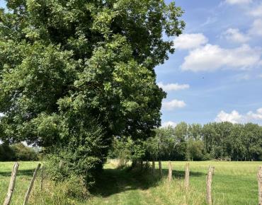 La Source de la Noye