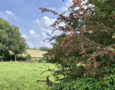 La Source de la Noye