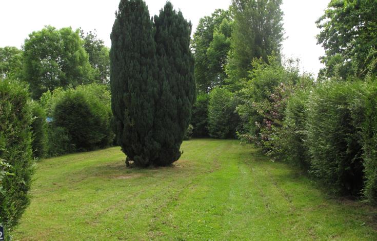 Camping belle étoile