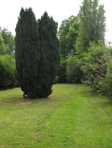 Camping belle étoile