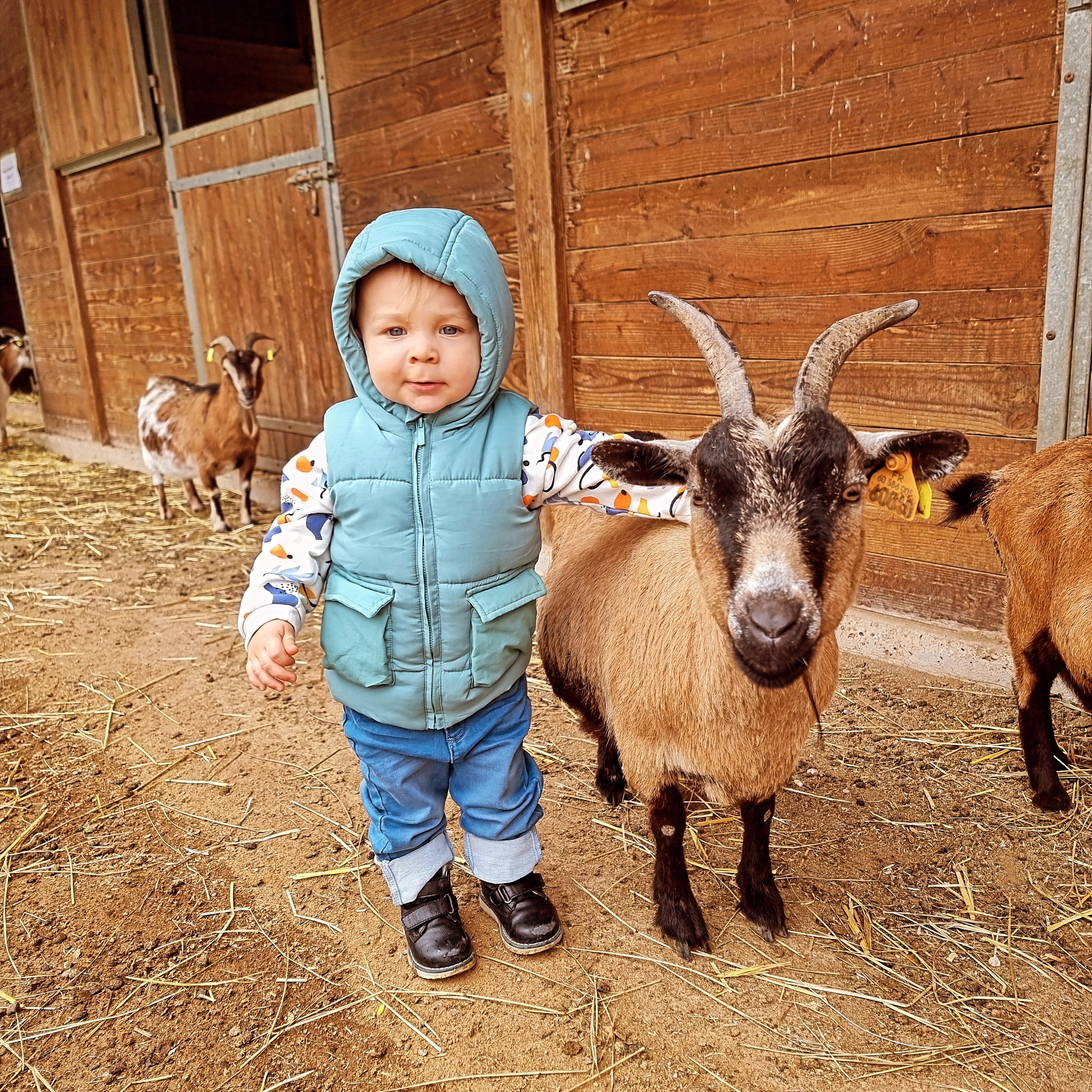 Parc Saint Léger - Parc Animalier