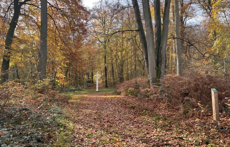 La Promenade des Moines en automne
