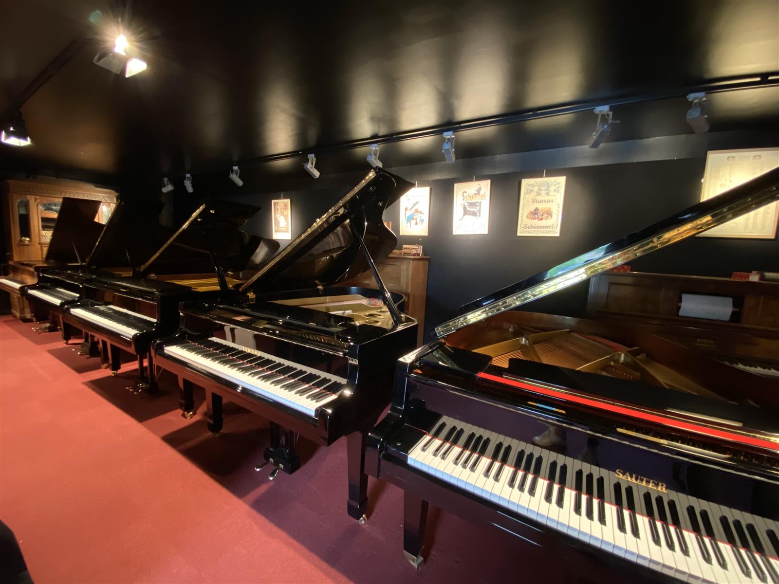 Showroom-2 Dumas Piano