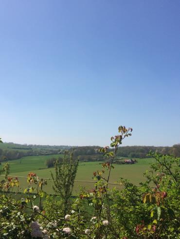 Paysage Picardie Verte