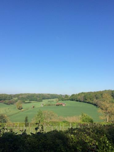 Paysage Picardie Verte