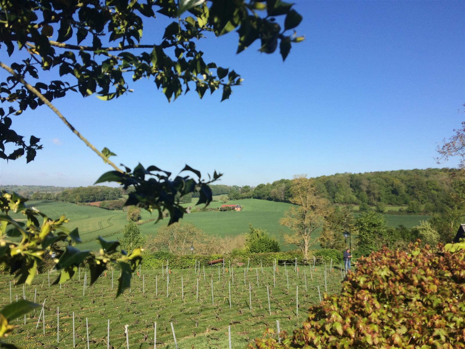 Paysage Picardie Verte