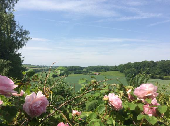 Paysage Picardie Verte