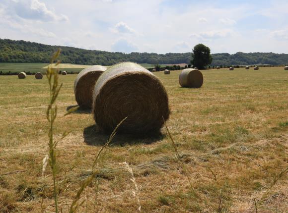 De Noailles à Tillard
